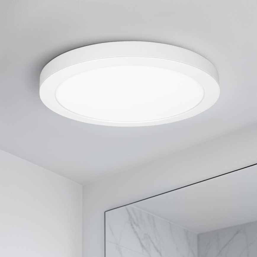 LED ytmonterad/infälld panel 2-i-1 24W/230V 3000/4000/6000K Ø 30 cm IP54 vit