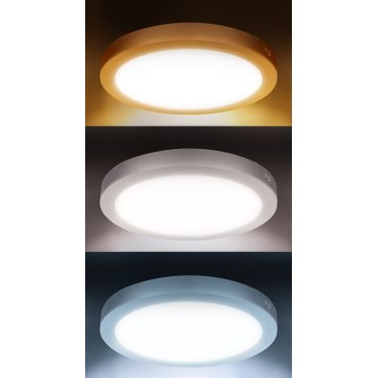 LED ytmonterad/infälld panel 2-i-1 24W/230V 3000/4000/6000K Ø 30 cm IP54 vit