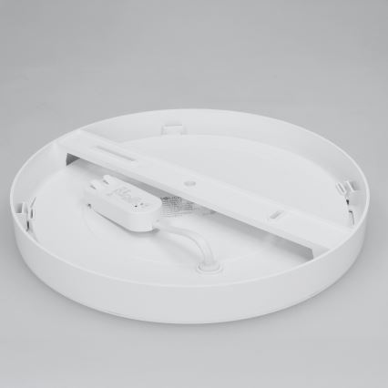 LED ytmonterad/infälld panel 2-i-1 24W/230V 3000/4000/6000K Ø 30 cm IP54 vit