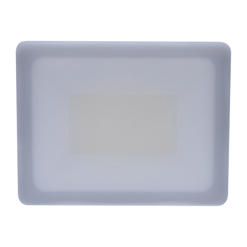 LED strålkastare för utomhusbruk LED/30W/230V 4000K IP65