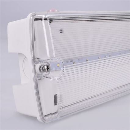 LED nödbelysning LED/3,2W/230V IP65 6500K