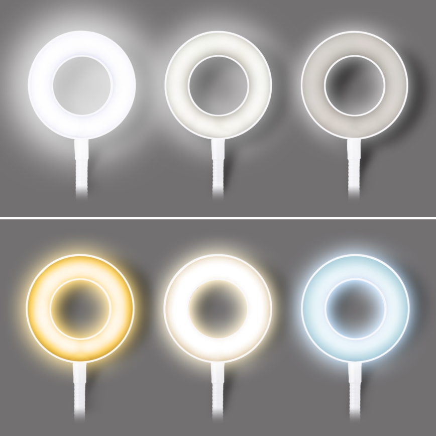 Dimbar LED-bordslampa med klämma LED/8W/230V 3000/4000/5000K vit