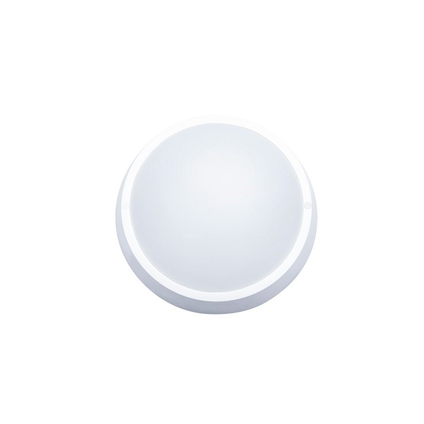 Solight WO739 - LED Utomhus Takbelysning 1xLED/30W/230V  IP65
