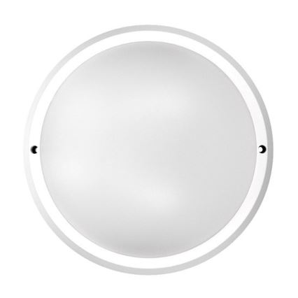 Solight WO739 - LED Utomhus Takbelysning 1xLED/30W/230V  IP65