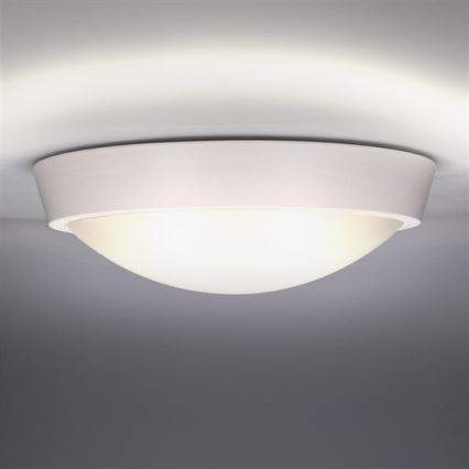 Solight WO739 - LED Utomhus Takbelysning 1xLED/30W/230V  IP65