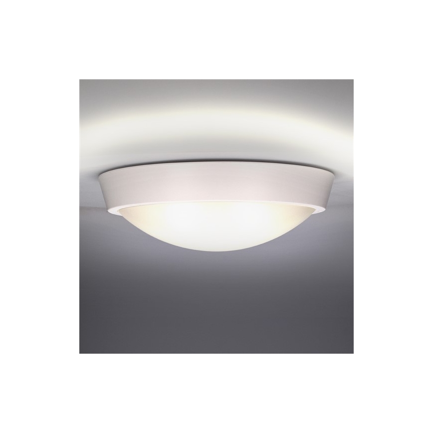 Solight WO739 - LED Utomhus Takbelysning 1xLED/30W/230V  IP65