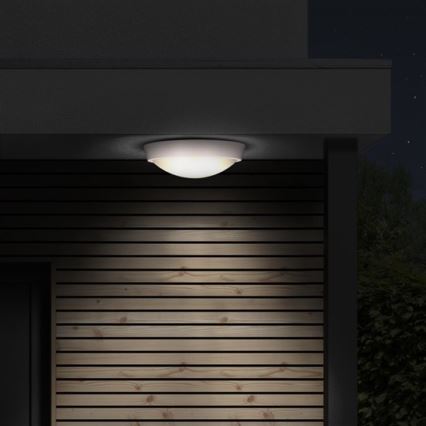 Solight WO739 - LED Utomhus Takbelysning 1xLED/30W/230V  IP65