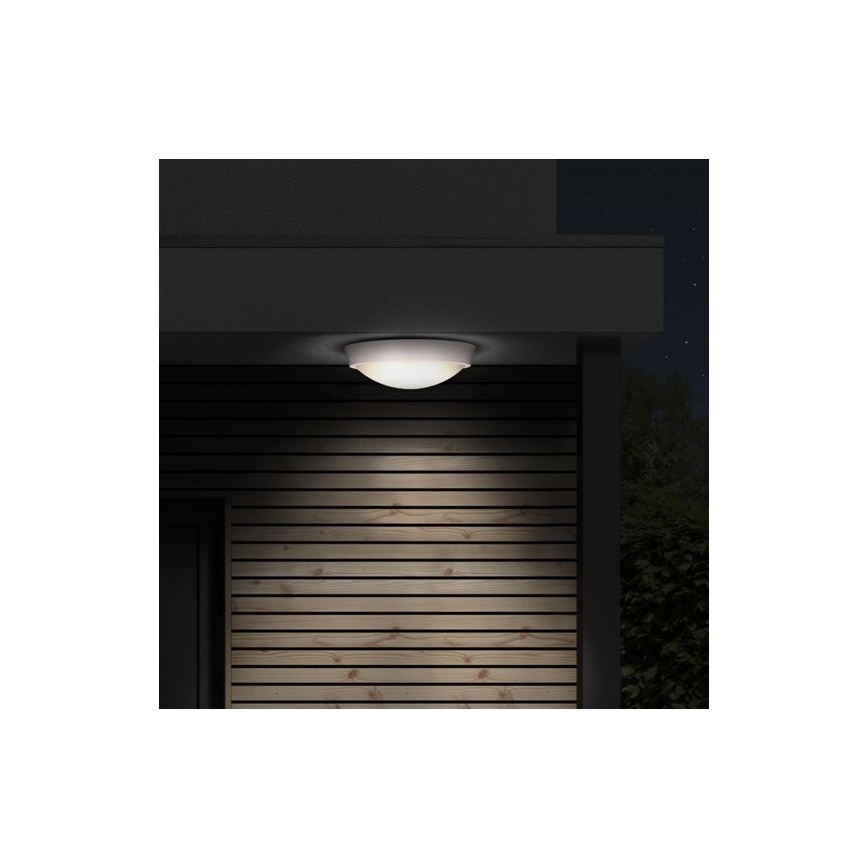 Solight WO739 - LED Utomhus Takbelysning 1xLED/30W/230V  IP65