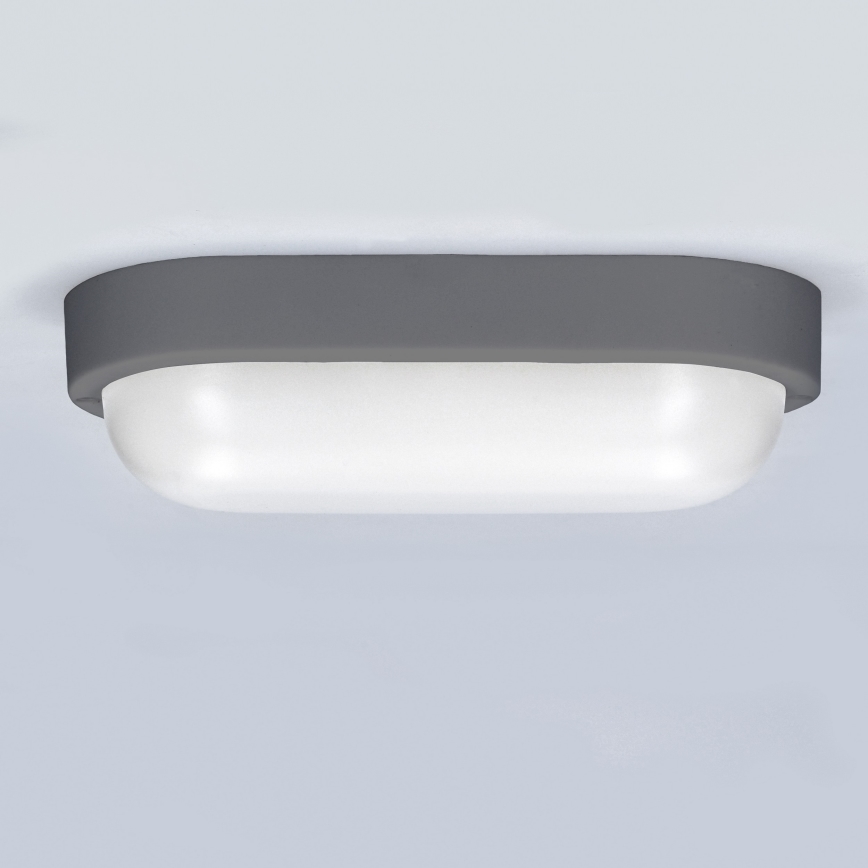 LED vägglampa för utomhusbruk LED/13W/230V 4000K IP54 grå oval