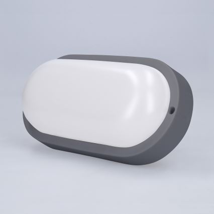 LED vägglampa för utomhusbruk LED/13W/230V 4000K IP54 grå oval