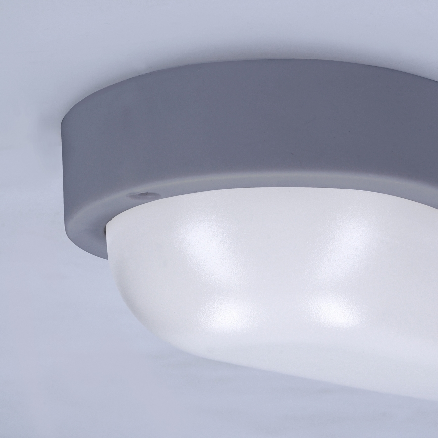 LED vägglampa för utomhusbruk LED/13W/230V 4000K IP54 grå oval