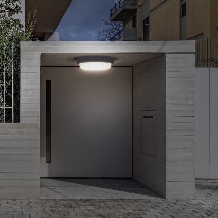 LED vägglampa för utomhusbruk LED/13W/230V 4000K IP54 grå rund