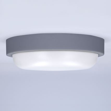 LED vägglampa för utomhusbruk LED/13W/230V 4000K IP54 grå rund