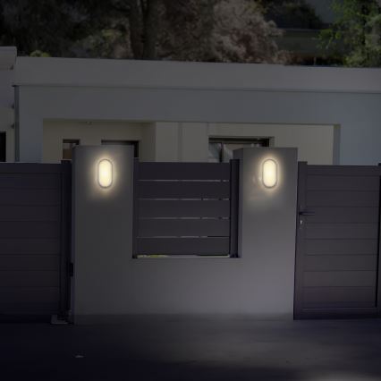 LED vägglampa för utomhusbruk LED/20W/230V 4000K IP54 grå oval