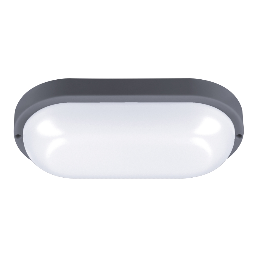 LED vägglampa för utomhusbruk LED/20W/230V 4000K IP54 grå oval
