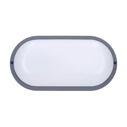LED vägglampa för utomhusbruk LED/20W/230V 4000K IP54 grå oval