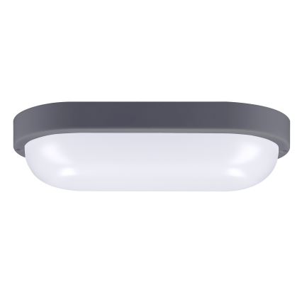 LED vägglampa för utomhusbruk LED/20W/230V 4000K IP54 grå oval