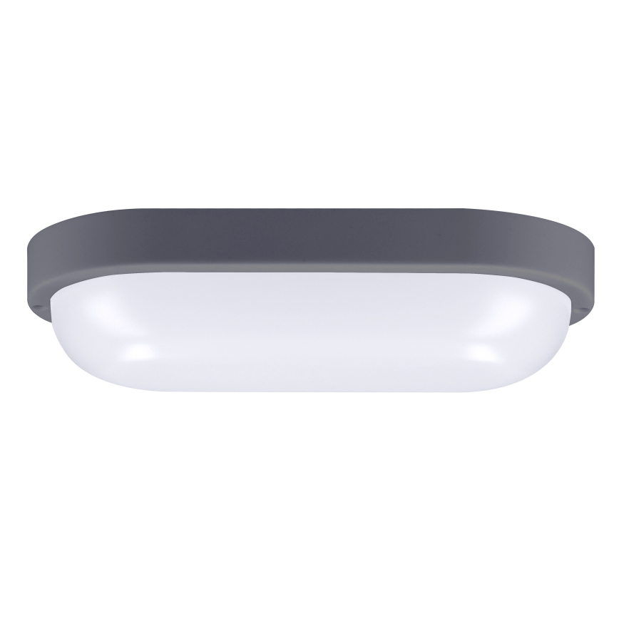 LED vägglampa för utomhusbruk LED/20W/230V 4000K IP54 grå oval