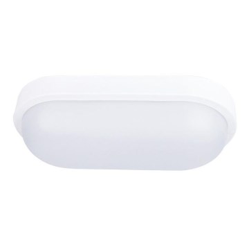 Solight WO749 - LED Utomhus Takbelysning LED/20W/230V IP54