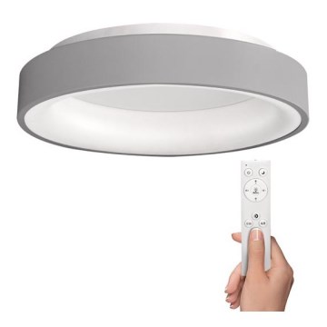 Solight WO768-G - LED Dimbar Takbelysning TREVISO LED/48W/230V + Fjärrstyrd
