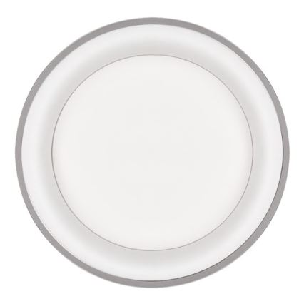 Solight WO768-G - LED Dimbar Takbelysning TREVISO LED/48W/230V + Fjärrstyrd