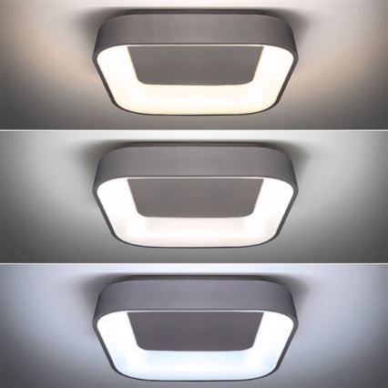 Solight WO769-G - LED Dimbar Takbelysning TREVISO LED/48W/230V + Fjärrstyrd