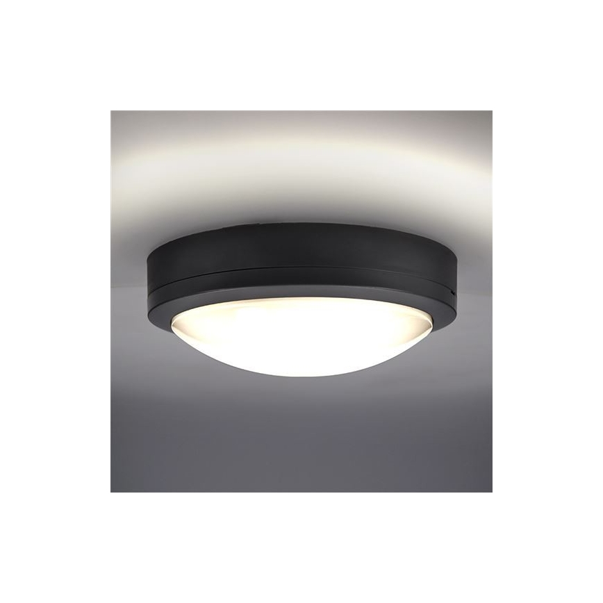 LED taklampa för utomhusbruk med sensor SIENA LED/20W/230V 4000K diameter 23 cm IP54