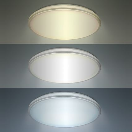 LED taklampa för badrum LED/18W/230V 3000/4000/6500K IP54