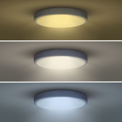 LED Dimbar taklampa GREY LED/48W/230V 3000-6500K grå diameter 38 cm + fjärrkontroll