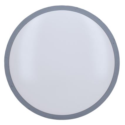 LED Dimbart taklampa GREY LED/60W/230V 3000-6500K grå Ø 49 cm + fjärrkontroll