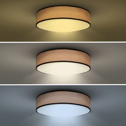 LED Dimbar taklampa BROWNIE LED/48W/230V 3000-6500K brun diameter 40 cm + fjärrkontroll