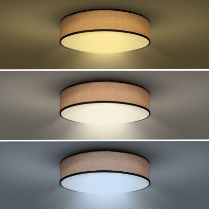 LED Dimbar taklampa BROWNIE LED/60W/230V 3000-6500K brun diameter 50 cm + fjärrkontroll