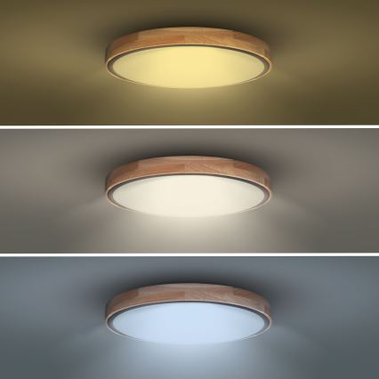 LED Dimbar taklampa IRON OAK LED/48W/230V 3000-6500K ek diameter 40 cm + fjärrkontroll