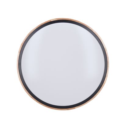 LED Dimbart taklampa IRON OAK LED/48W/230V 3000-6500K ek pr. 40 cm + fjärrkontroll