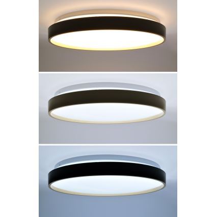LED Dimbar taklampa CALA LED/48W/230V 3000-6500K svart/guld + fjärrkontroll