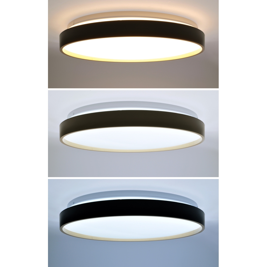 LED Dimbar taklampa CALA LED/48W/230V 3000-6500K svart/guld + fjärrkontroll