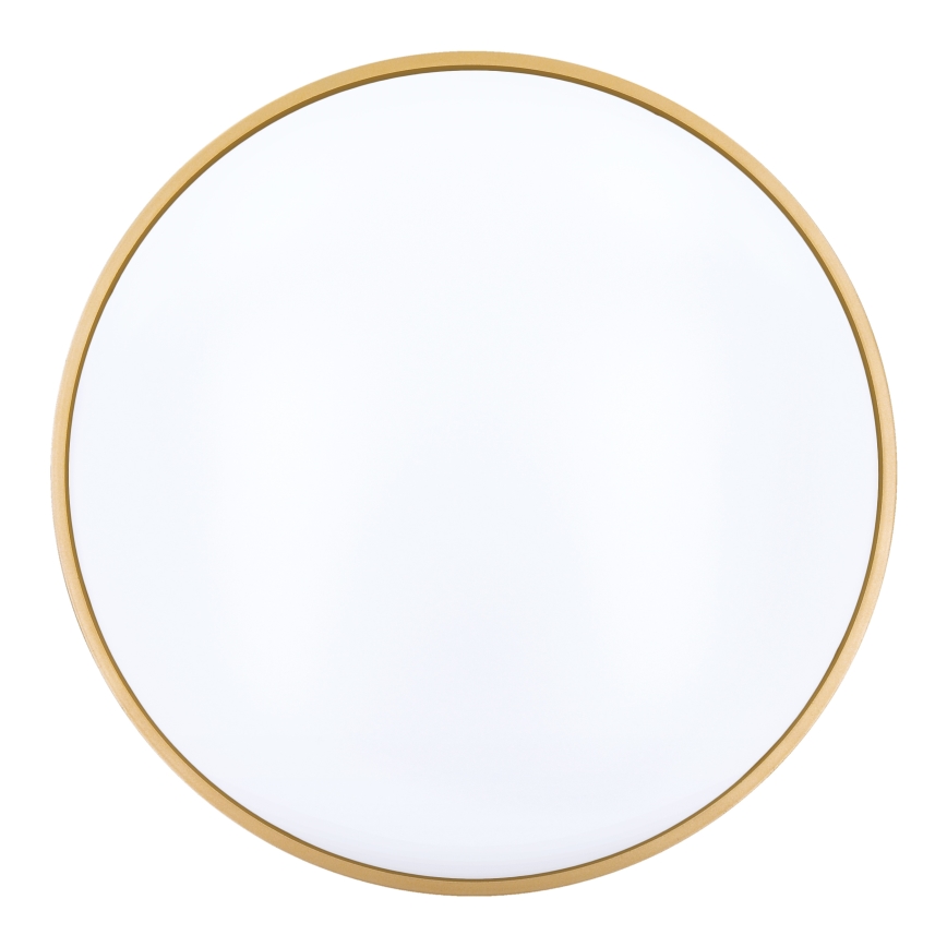 LED Dimbar taklampa CALA LED/48W/230V 3000-6500K svart/guld + fjärrkontroll