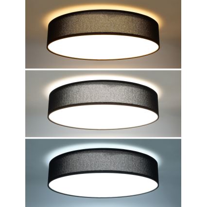 LED Dimbar taklampa PENLEY LED/48W/230V 3000-6500K diameter 40 cm svart + fjärrkontroll
