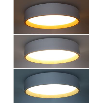 LED Dimbar taklampa LARIOS LED/48W/230V 3000-6500K diameter 39 cm vit + fjärrkontroll