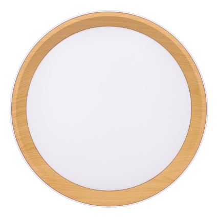 LED Dimbar taklampa LARIOS LED/48W/230V 3000-6500K diameter 39 cm vit + fjärrkontroll
