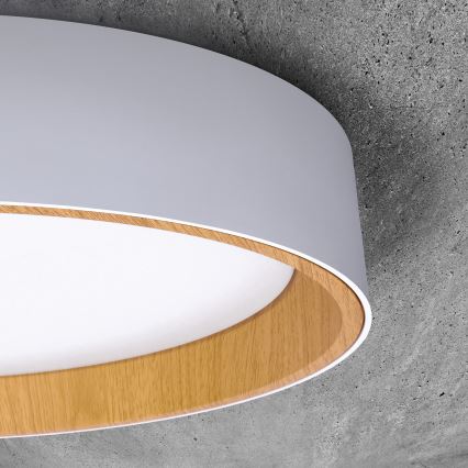 LED Dimbar taklampa LARIOS LED/48W/230V 3000-6500K diameter 39 cm vit + fjärrkontroll