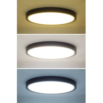 LED Dimbar taklampa ESTELA LED/36W/230V diameter 30 cm svart + fjärrkontroll
