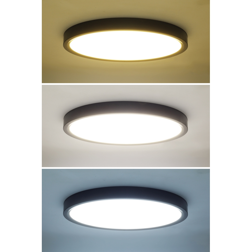 LED Dimbar taklampa ESTELA LED/36W/230V diameter 30 cm svart + fjärrkontroll