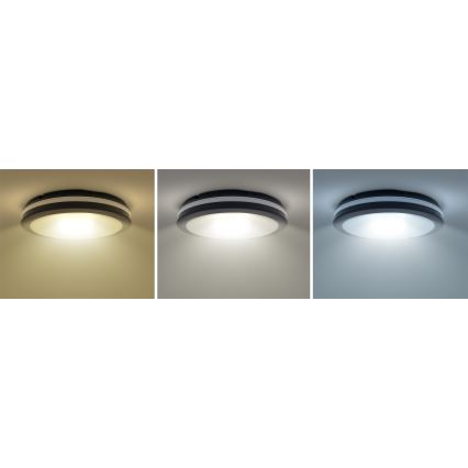 LED Ljusreglerad utomhus tak belysning LED/18W/22W/26W/230V 3000/4000/6500K IP65 svart