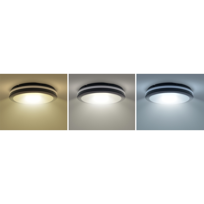 LED Ljusreglerad utomhus tak belysning LED/18W/22W/26W/230V 3000/4000/6500K IP65 svart