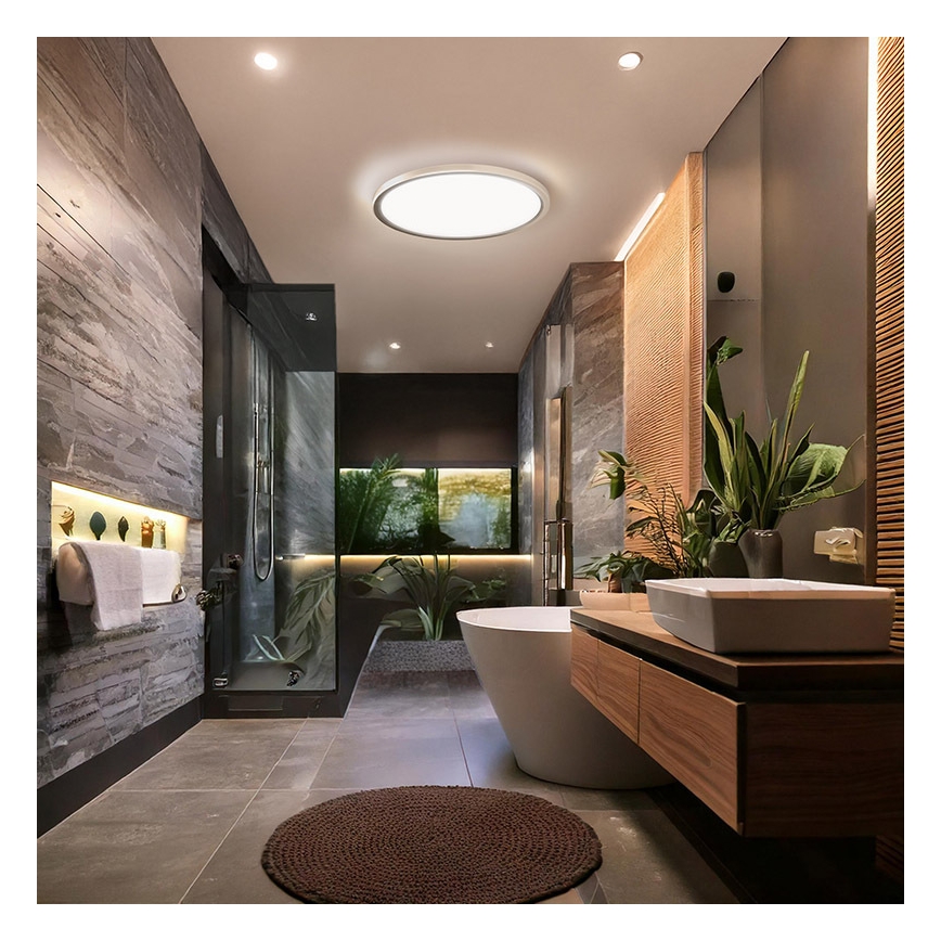 LED badrumstaklampa ACATE 18W/230V 3000/4000/6000K Ø 22 cm IP54