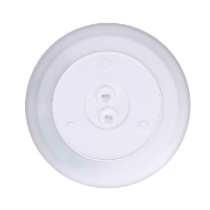 LED badrumstaklampa ACATE 18W/230V 3000/4000/6000K Ø 22 cm IP54