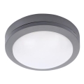 Soligth WO746 - LED Utomhus Takbelysning LED/13W/230V IP54