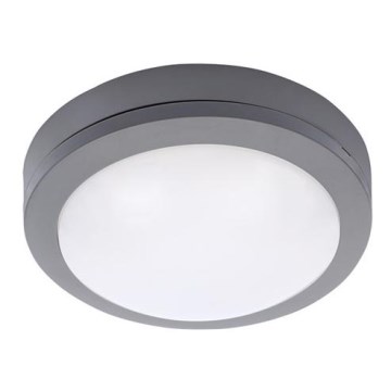 Soligth WO746 - LED Utomhus Takbelysning LED/13W/230V IP54