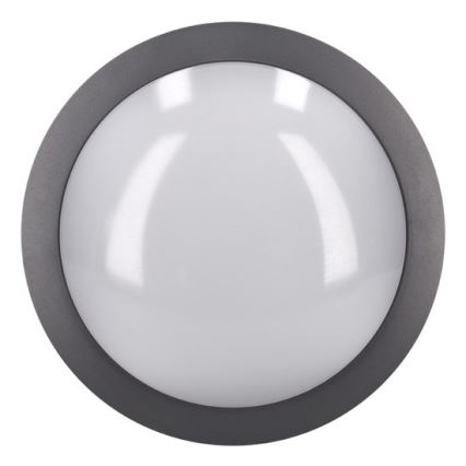 Soligth WO746 - LED Utomhus Takbelysning LED/13W/230V IP54